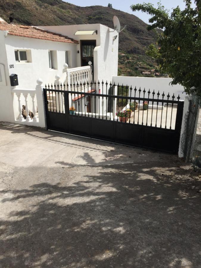 Casa Azul Mountain Retreat Lägenhet Vega de San Mateo Exteriör bild