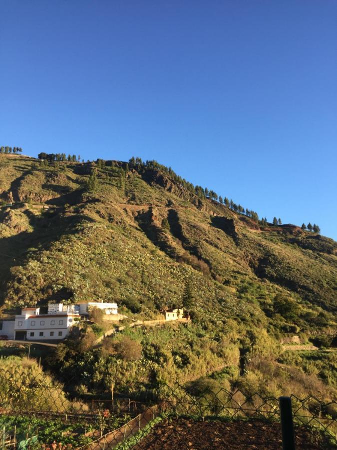 Casa Azul Mountain Retreat Lägenhet Vega de San Mateo Exteriör bild